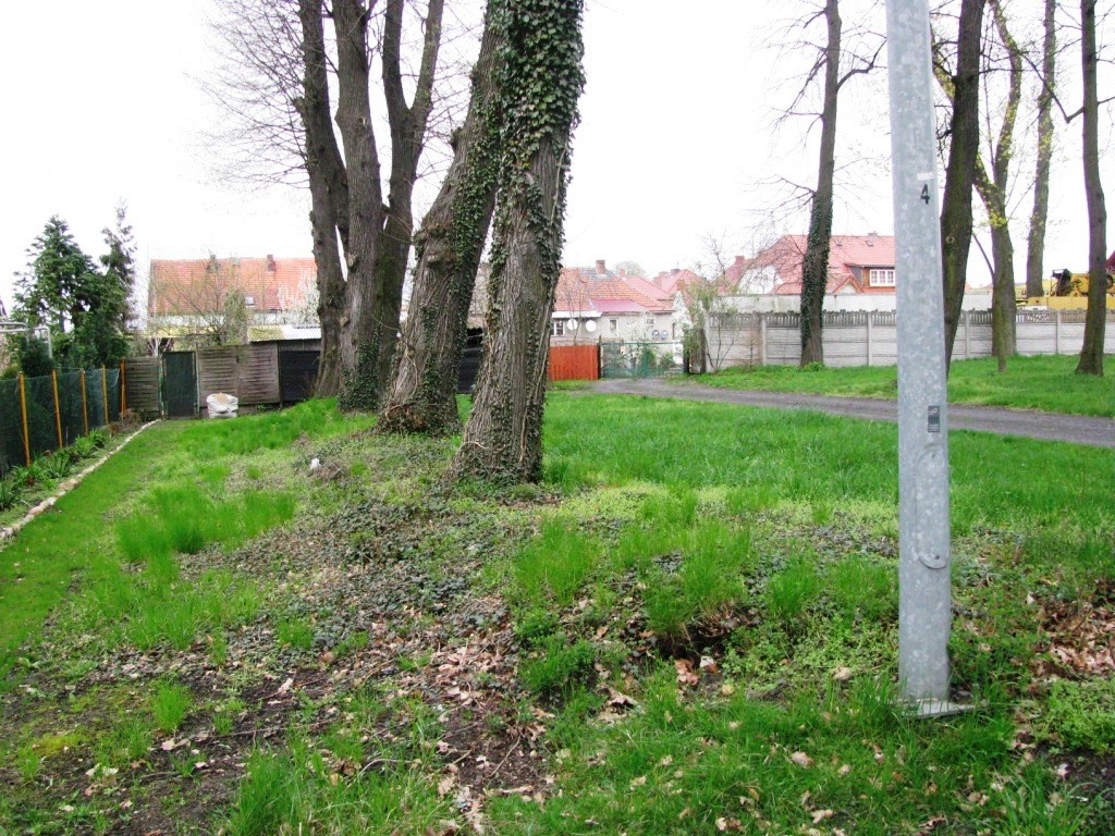 Cmentarz Braci Morawskich w Kruszynie.